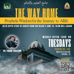 The Way Home